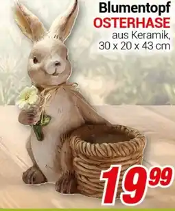 CENTERSHOP Blumentopf OSTERHASE Angebot