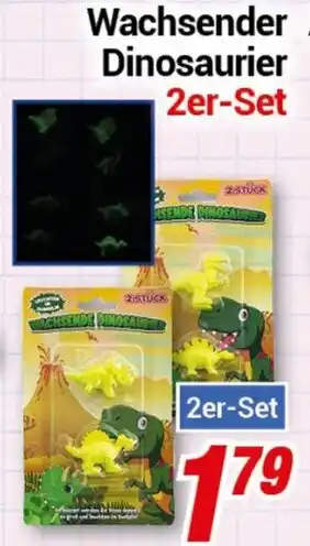 CENTERSHOP Wachsender Dinosaurier 2er-Set Angebot