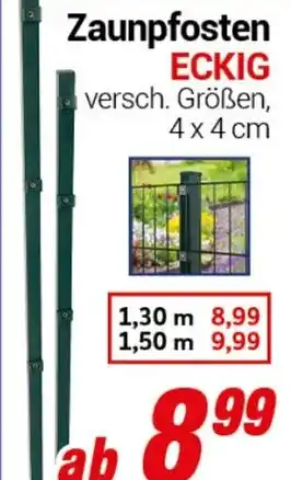 CENTERSHOP Zaunpfosten ECKIG Angebot