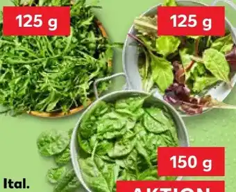 Kaufland Rucola Angebot