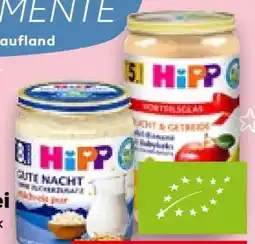 Kaufland HiPP Gute Nacht Bio-Mahlzeit Angebot