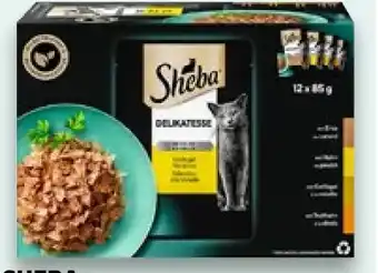 Kaufland Sheba Delikatesse in Gelee Angebot