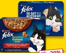 Kaufland Purina Felix Katzennahrung Angebot