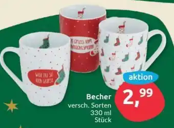 Budni Becher Angebot