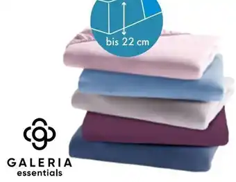 Galeria GALERIA essentials Jersey-Spannbetttuch Angebot