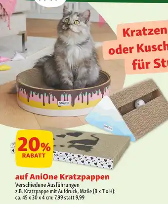 Fressnapf Anione kratzpappen Angebot