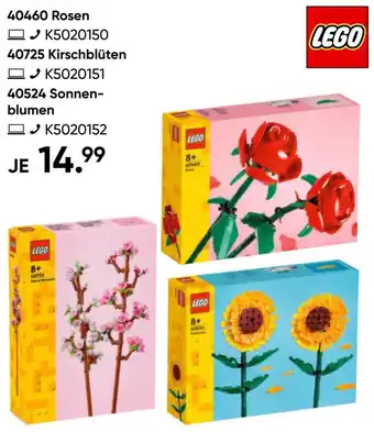 Galeria LEGO 40460 Rosen oder 40725 Kirschblüten Angebot