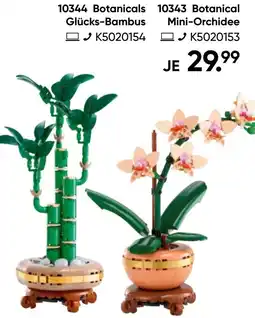 Galeria 10344 Botanicals Glücks-Bambus Angebot