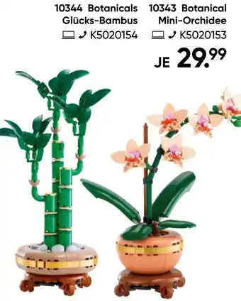 Galeria 10344 Botanicals Glücks-Bambus Angebot