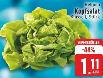 Edeka Belgien Kopfsalat Angebot