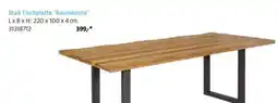 Bauhaus Teak Tischplatte 'Baumkante' Angebot