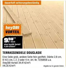 OBI Terrassendiele douglasie Angebot