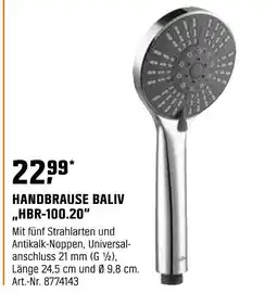 OBI Handbrause baliv „hbr-100.20“ Angebot