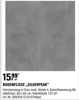 OBI Bodenfliese silverpeak Angebot