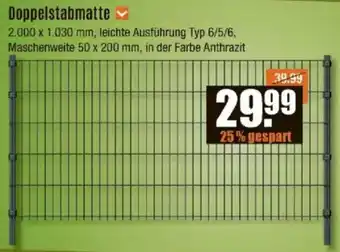 V Baumarkt Doppelstabmatte Angebot