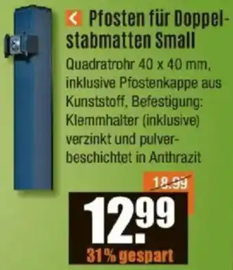 V Baumarkt Pfosten für Doppelstabmatten Small Angebot