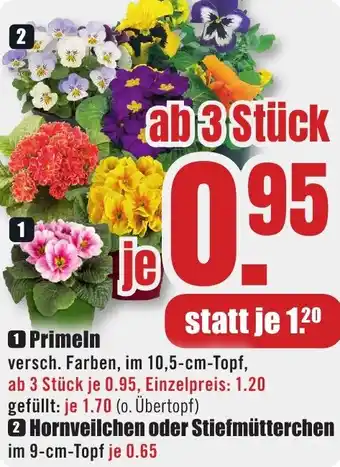 B1 Discount Baumarkt Primeln, Hornveilchen oder Stiefmütterchen Angebot