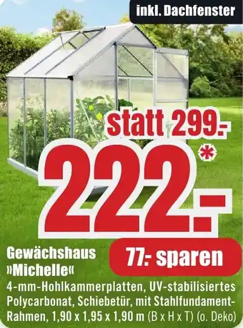 B1 Discount Baumarkt Gewächshaus Michelle Angebot