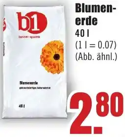 B1 Discount Baumarkt b1 Blumenerde Angebot