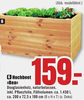 B1 Discount Baumarkt Hochbeet Bea Angebot