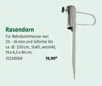 Bauhaus Rasendorn Angebot