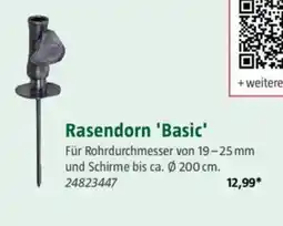 Bauhaus Rasendorn 'Basic' Angebot