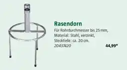 Bauhaus Rasendorn Angebot