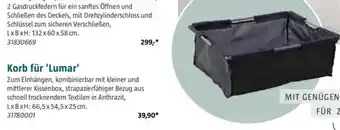 Bauhaus Korb für 'Lumar' Angebot