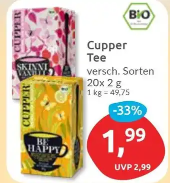 Budni Cupper Tee Angebot