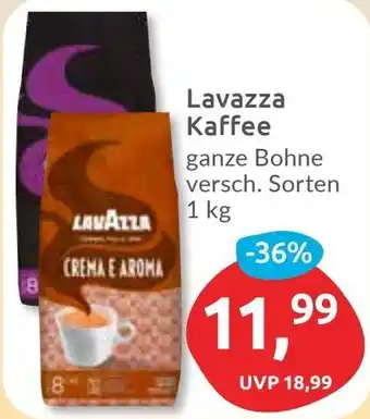 Budni Lavazza Kaffee Angebot