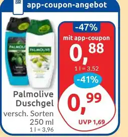 Budni Palmolive Duschgel Angebot