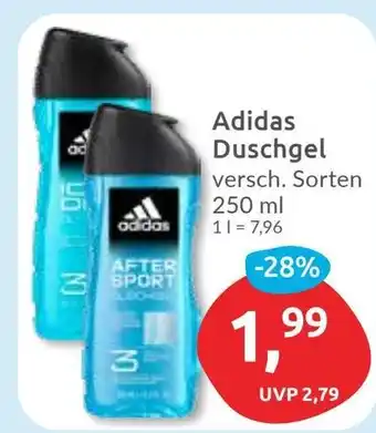 Budni Adidas Duschgel Angebot