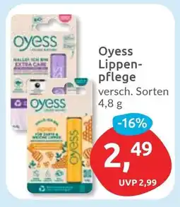 Budni Oyess Lippenpflege Angebot