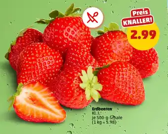 PENNY Erdbeeren Angebot