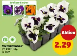 PENNY Stiefmütterchen Angebot