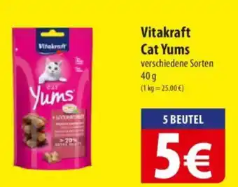 Famila Nord Ost Vitakraft Cat Yums Angebot