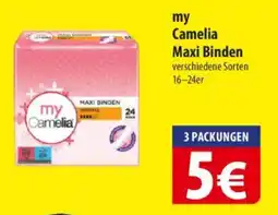 Famila Nord Ost my Camelia Maxi Binden Angebot