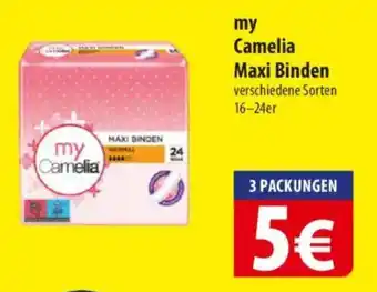 Famila Nord Ost my Camelia Maxi Binden Angebot