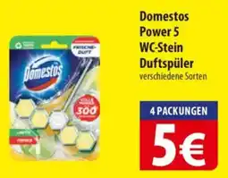 Famila Nord Ost Domestos Power 5 WC-Stein Duftspüler Angebot