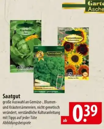 Famila Nord Ost Gartenland Aschersleben Saatgut Angebot