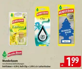 Famila Nord Ost Wunderbaum Angebot