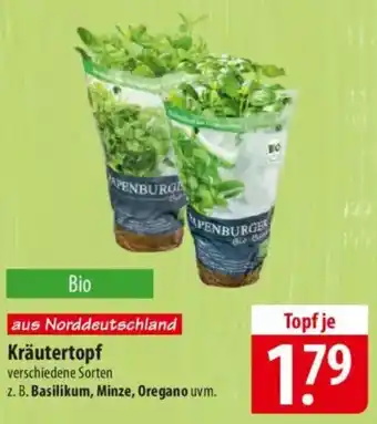 Famila Nord Ost Kräutertopf Angebot