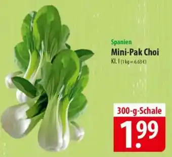 Famila Nord Ost Spanien Mini-Pak Choi Angebot