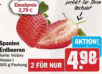 AEZ Spanien Erdbeeren Angebot