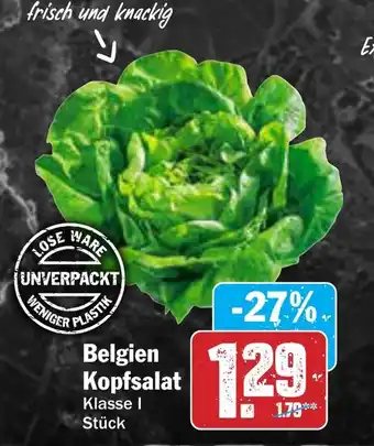 AEZ Belgien Kopfsalat Angebot