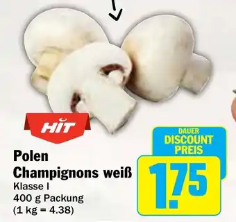 AEZ HIT Polen Champignons weiß Angebot