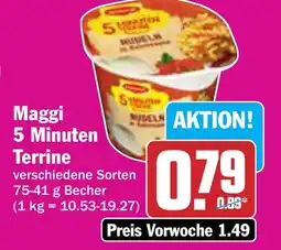 AEZ Maggi 5 Minuten Terrine Angebot