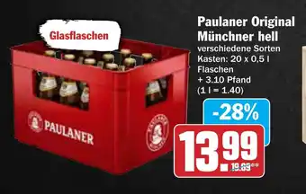 AEZ Paulaner Original Münchner hell Angebot