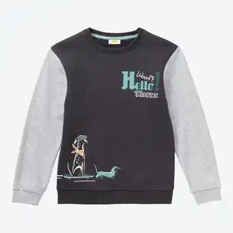 NKD Kinder-Jungen-Sweatshirt mit Kontrast-Ärmeln Angebot