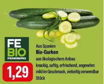 Feneberg Bio-Gurken Angebot